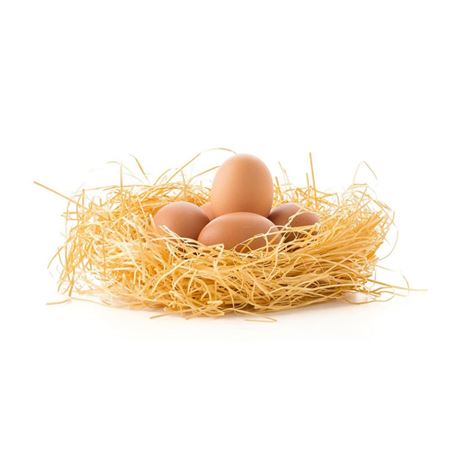 Organik Köy Yumurtası (15 Adet)